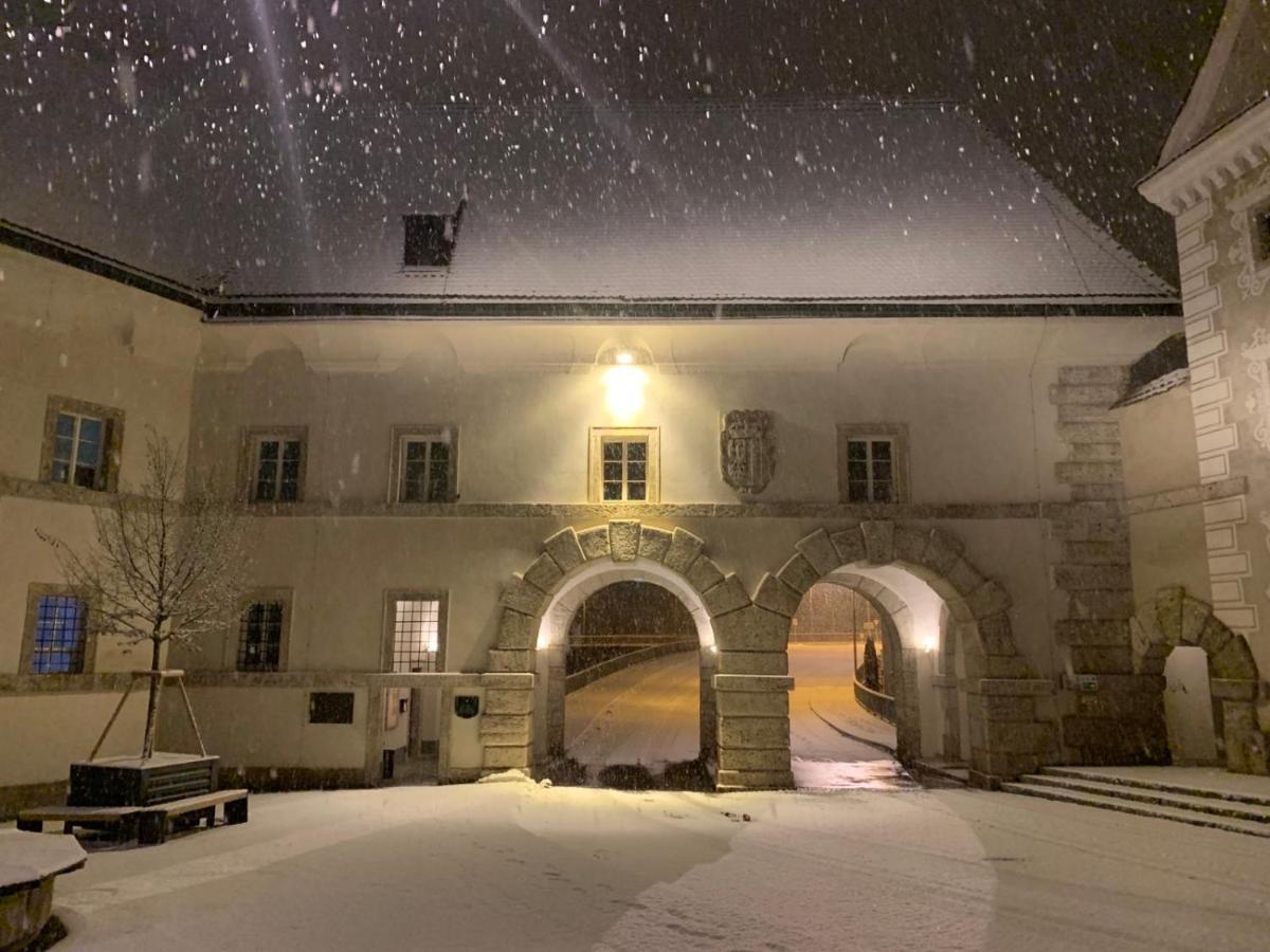 Lovely Flat In A Lovely City Steyr Buitenkant foto