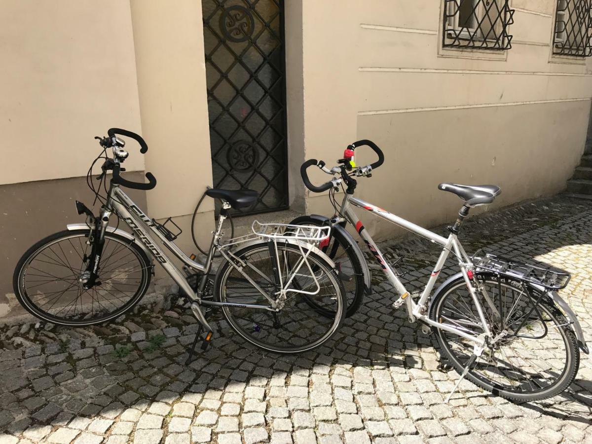 Lovely Flat In A Lovely City Steyr Buitenkant foto